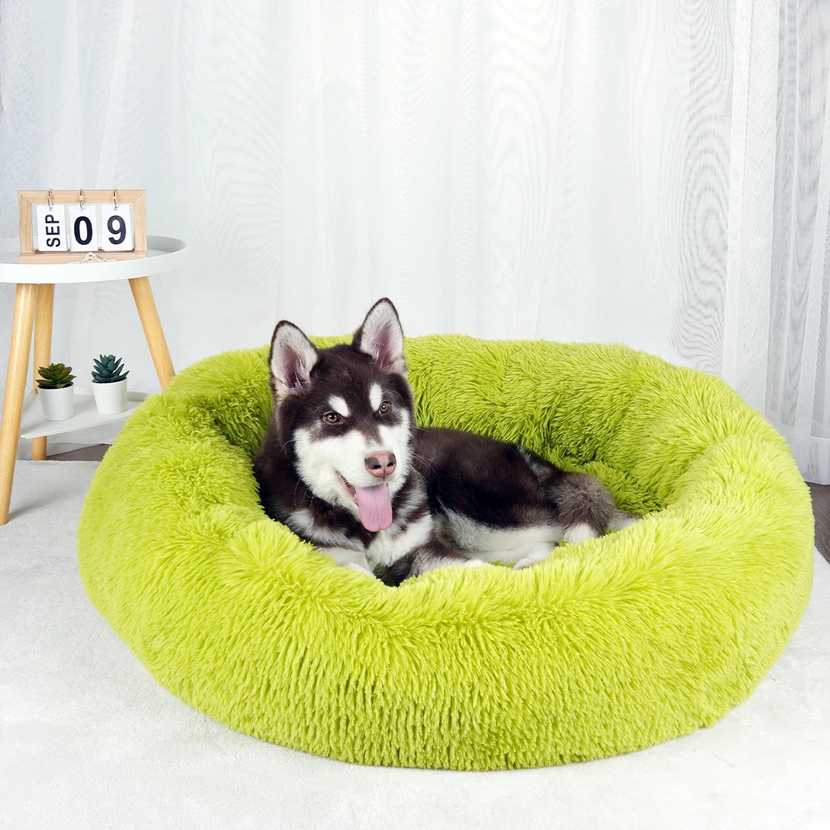 Washable Plush Dog Bed Sofa