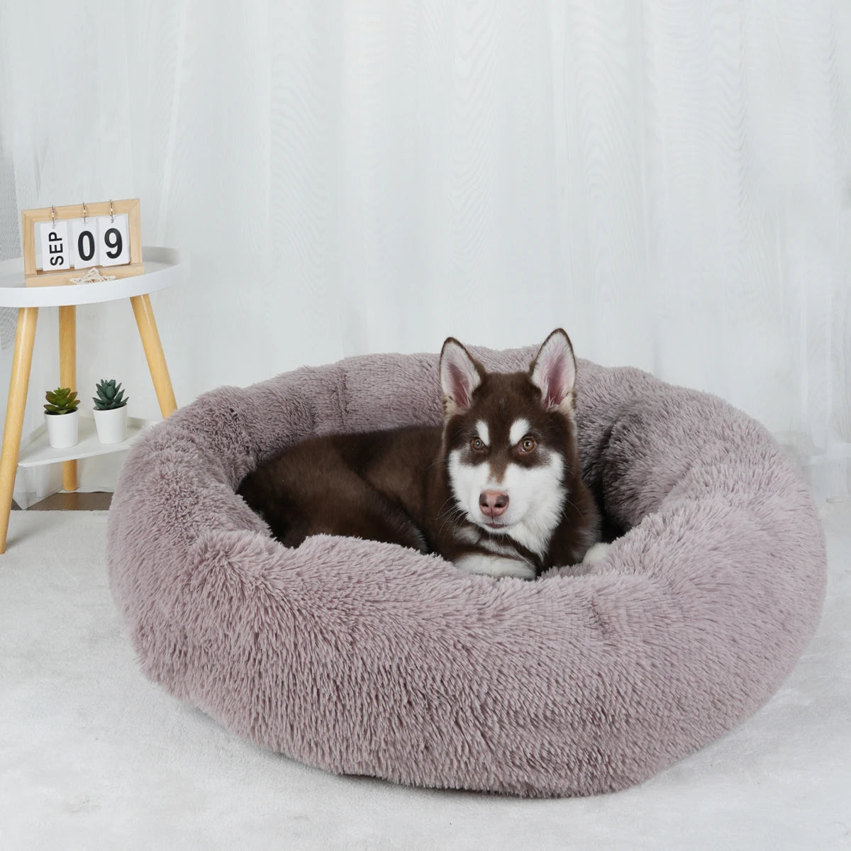 Washable Plush Dog Bed Sofa