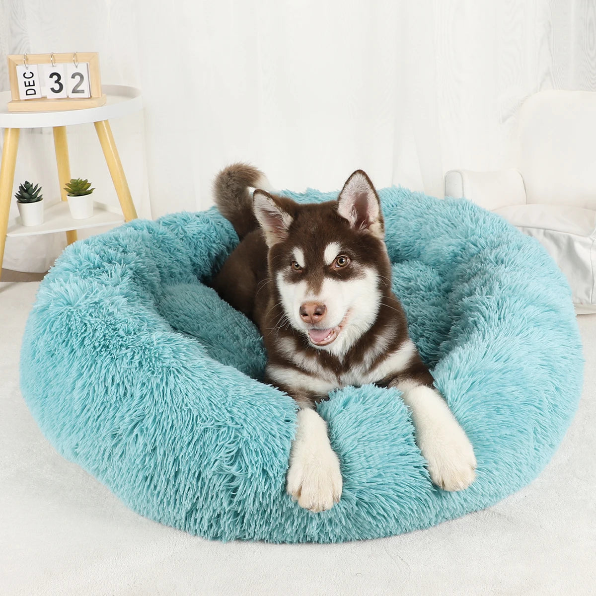 Washable Plush Dog Bed Sofa