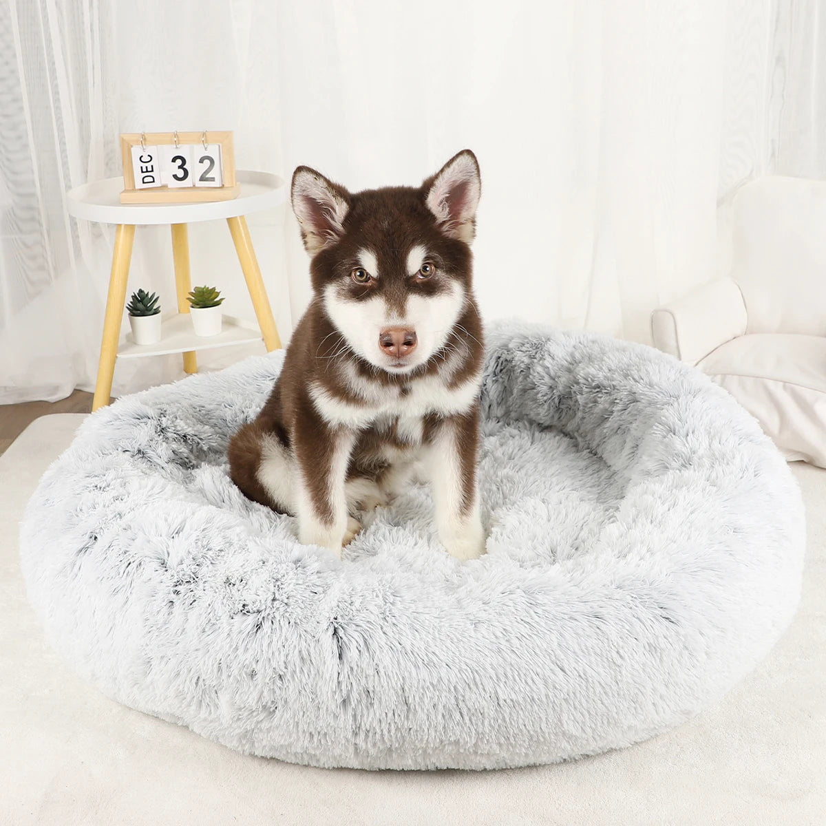 Washable Plush Dog Bed Sofa