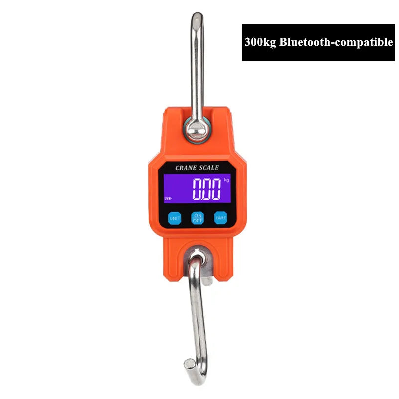 Heavy Duty Digital Crane Scale