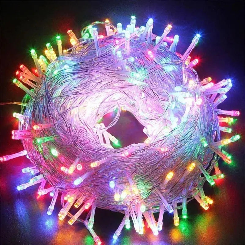 Outdoor LED Christmas Lights