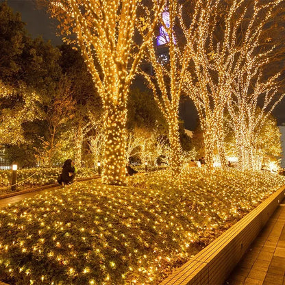 Outdoor LED Christmas Lights