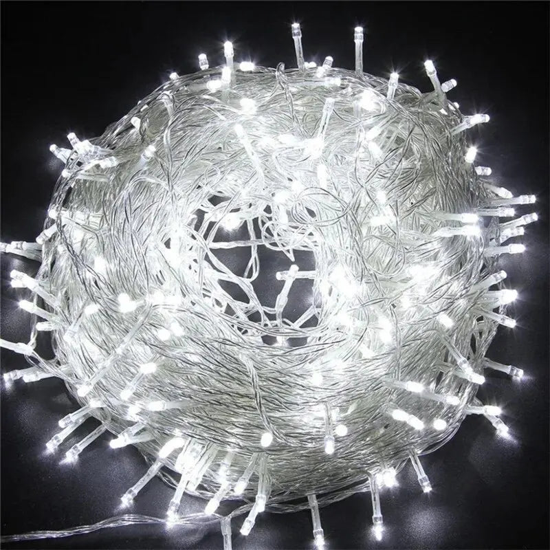 Outdoor LED Christmas Lights