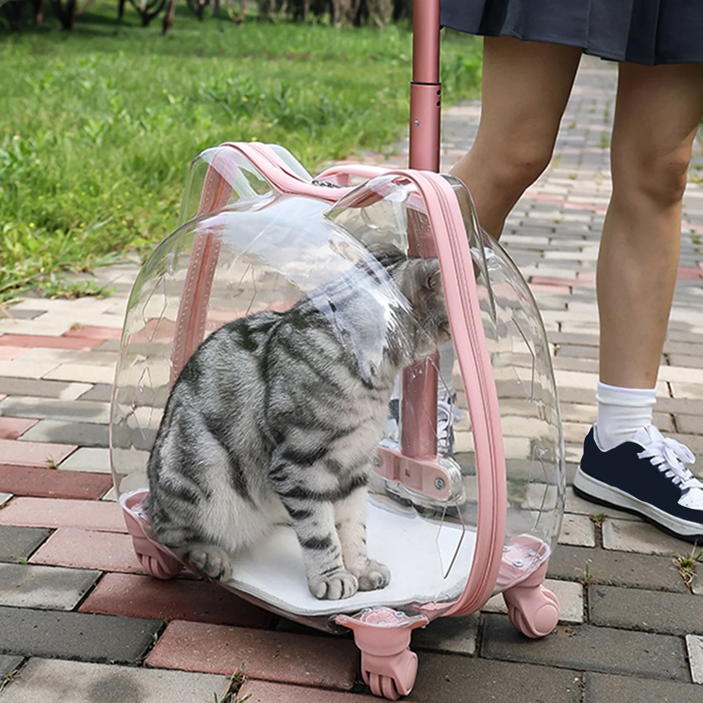 Cat Carrier with Wheels Transparent Pet Trolley Case Telescopic Rod Spacious Breathable Pet Trolley for Hiking Travel