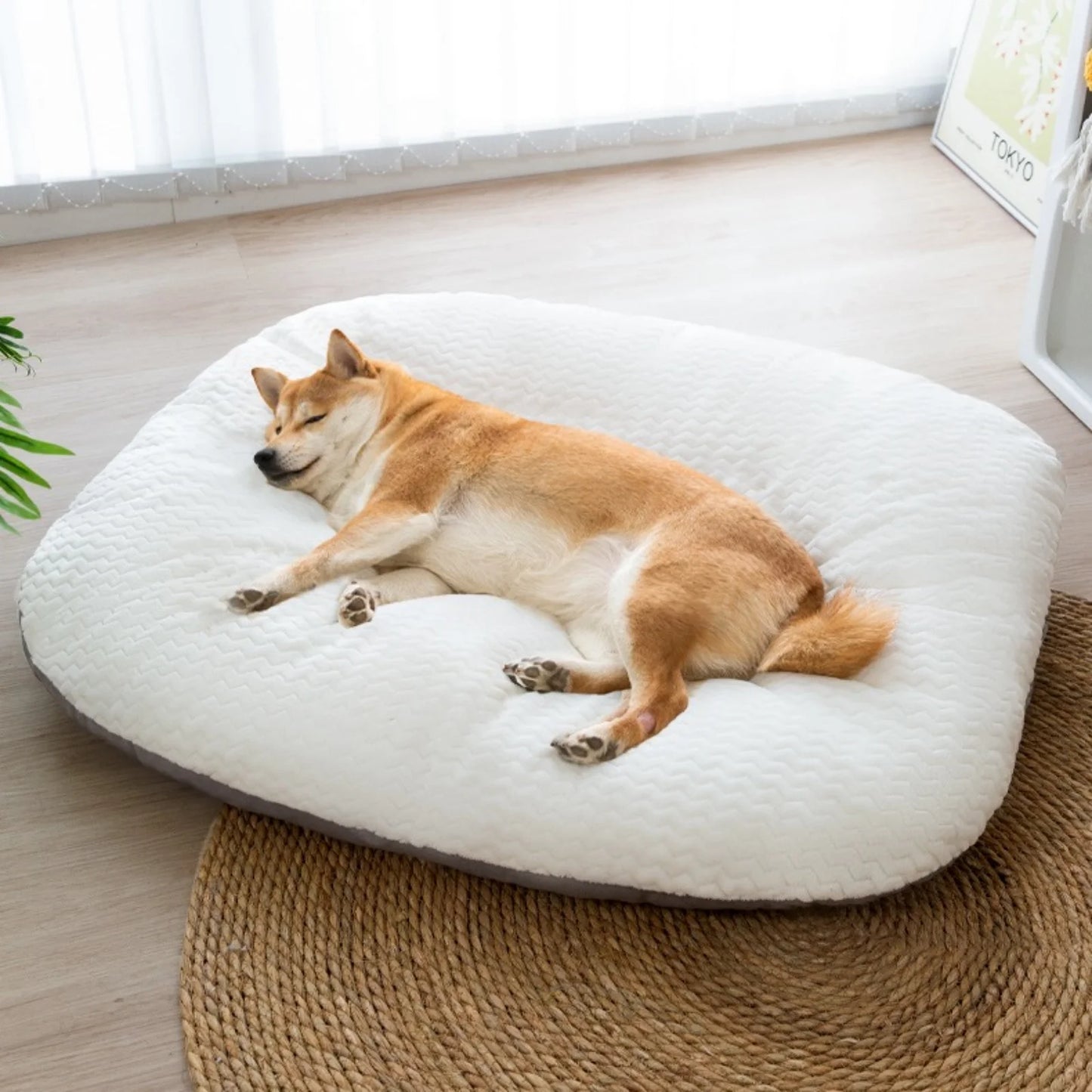 Large Soft Dog Sofa Bed