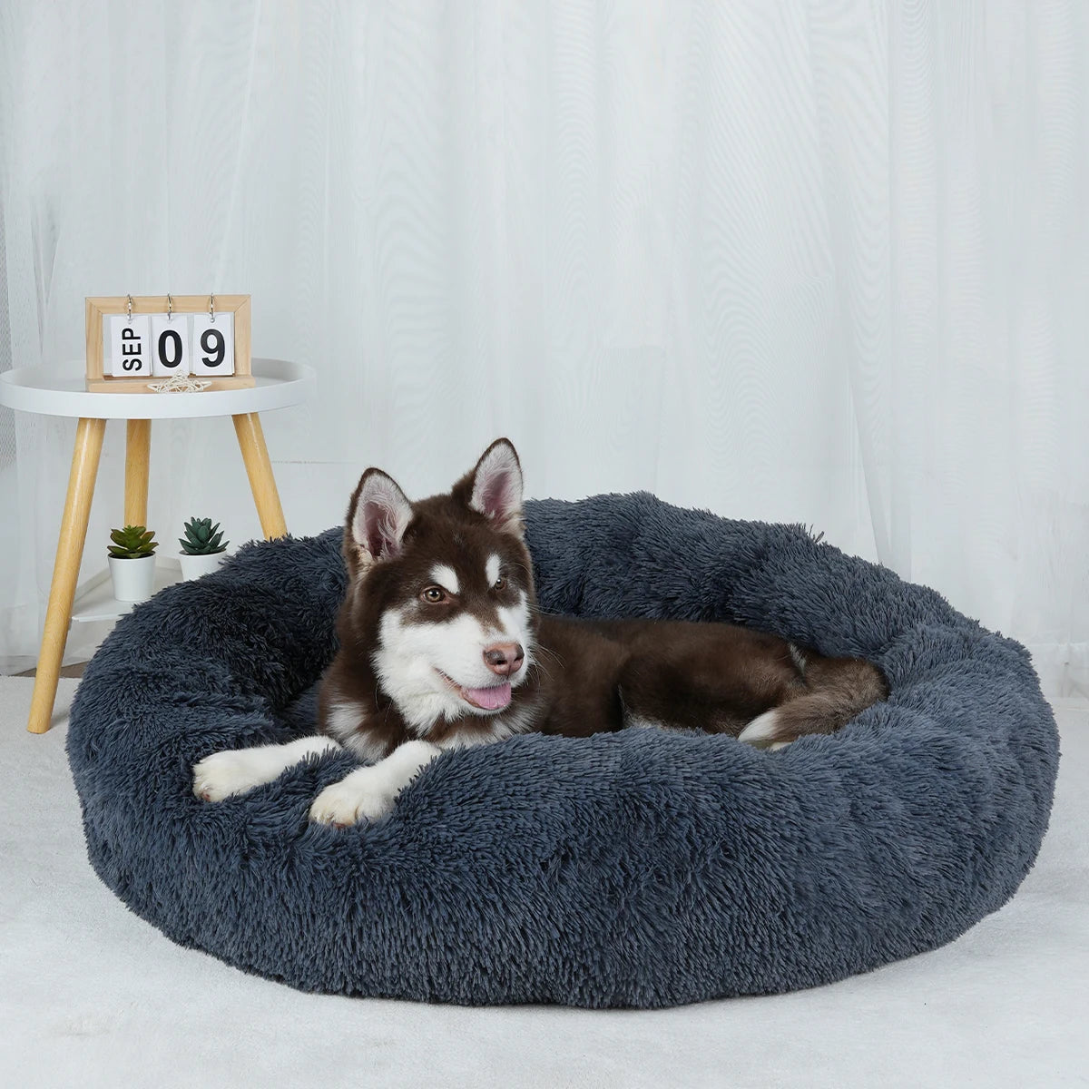 Washable Plush Dog Bed Sofa