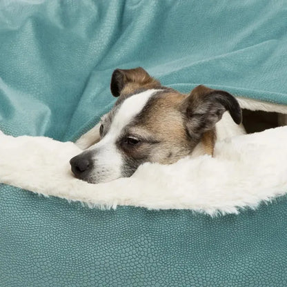 Orthopedic Dog Bed with Blanket