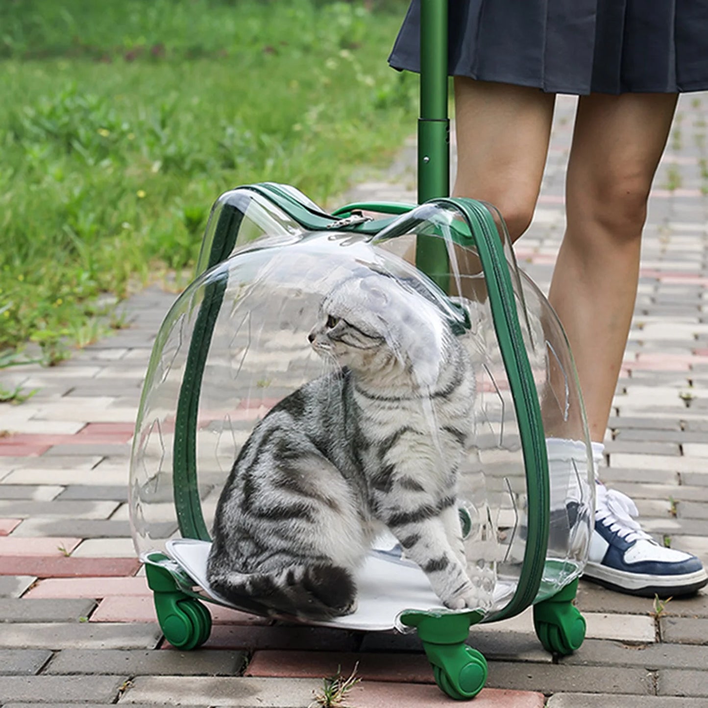 Cat Carrier with Wheels Transparent Pet Trolley Case Telescopic Rod Spacious Breathable Pet Trolley for Hiking Travel