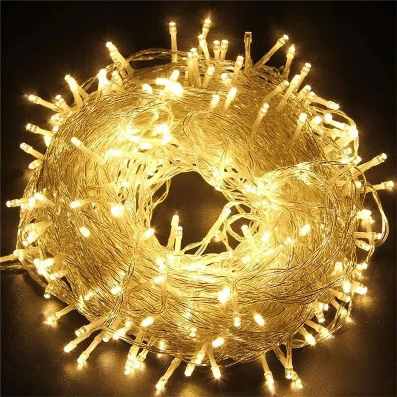 Outdoor LED Christmas Lights