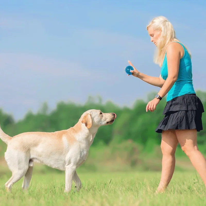 Squeaky Tooth Cleaning Pet Toy