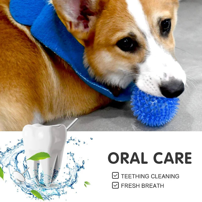 Squeaky Tooth Cleaning Pet Toy