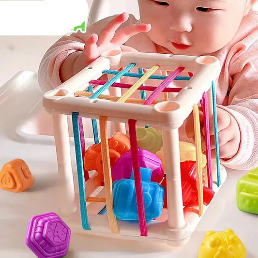 Montessori Sensory Baby Learning Toys